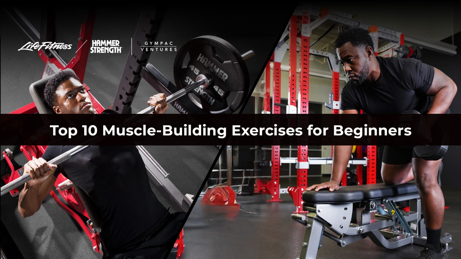 Top 10 Muscle-Building Exercises for Beginners